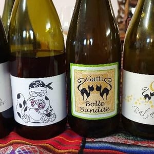 Bolle Bandite - Azienda Agricola Gatti - Carolina Gatti