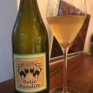 Bolle Bandite - Azienda Agricola Gatti - Carolina Gatti 