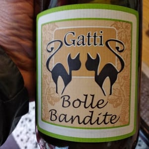 Azienda Agricola Gatti - Carolina Gatti - Bolle Bandite