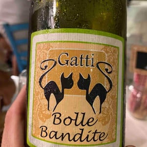 Bolle Bandite - Azienda Agricola Gatti - carolina-gatti