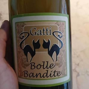 Bolle Bandite - Azienda Agricola Gatti - carolina-gatti
