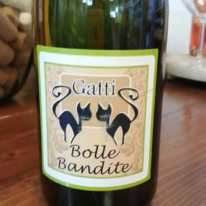 Bolle Bandite - Azienda Agricola Gatti - carolina-gatti