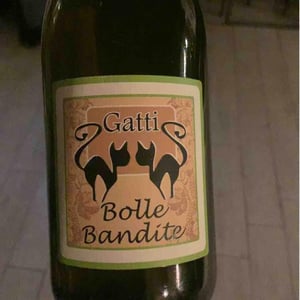 Bolle Bandite - Azienda Agricola Gatti - carolina-gatti