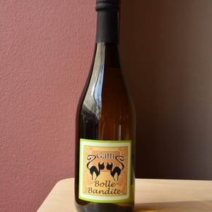 Bolle Bandite - Azienda Agricola Gatti - carolina-gatti