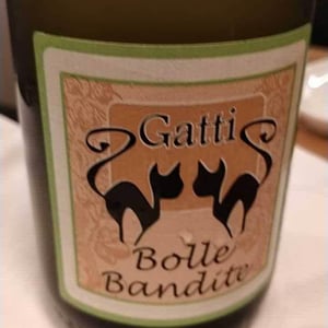Bolle Corsare 2018