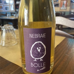 BOLLE in valle - Azienda Agricola Nebraie - Andrea Tacchella -2022