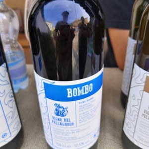Bombo - Vigne Del Pellagroso - antonio-camazzola