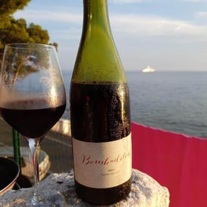 Domaine Thomas Rouanet - Thomas Rouanet - Bombadilom