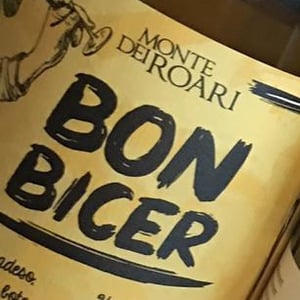 Bon bicer - Monte Dei Roari - Alessia Bertaiola 