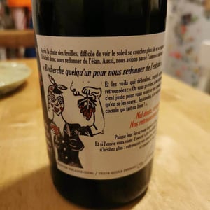 Bonne Nouvelle - Domaine Laura Aillaud - Laura Aillaud 