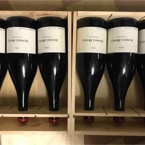 Bonnes-Mares Grand Cru - Domaine de Chassorney - Frédéric Cossard 
