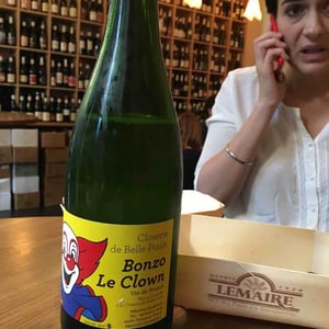 Bonzo le Clown - Closerie de Belle-Poule - Sébastien Gandubert 