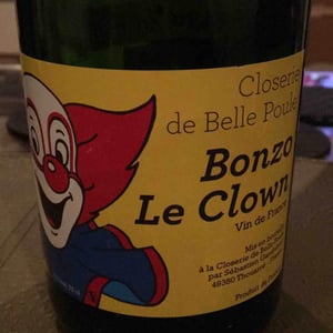 Bonzo le Clown - Closerie de Belle-Poule - Sébastien Gandubert 