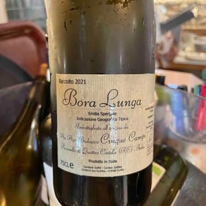 Bora Lunga - Cinque Campi - Vanni Nizzoli 
