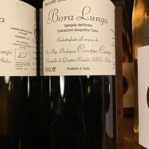 Bora Lunga - Cinque Campi - vanni-nizzoli