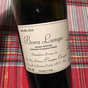 Bora Lunga - Cinque Campi - Vanni Nizzoli 