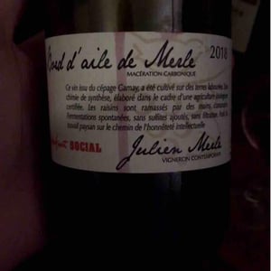 Bord D'Aile De Merle - Julien Merle - julien-merle