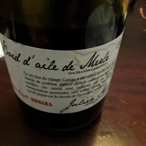 Julien Merle - Julien Merle - Bord D'Aile De Merle
