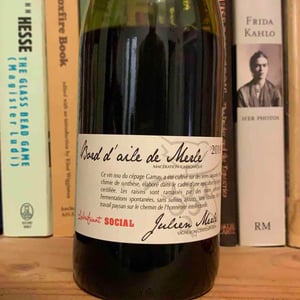 Bord D'Aile De Merle - Julien Merle - julien-merle