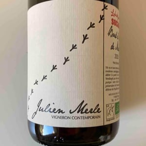 Julien Merle - Julien Merle - Bord D'Aile De Merle