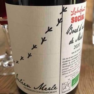 Julien Merle - Julien Merle - Bord D'Aile De Merle
