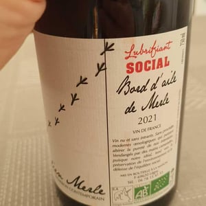 Bord D'Aile De Merle - Julien Merle - julien-merle
