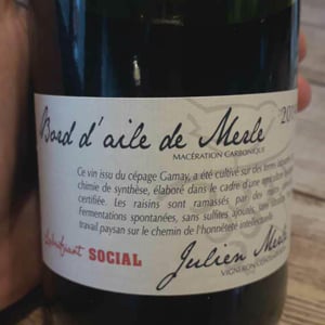 Bord D'Aile De Merle - Julien Merle - julien-merle