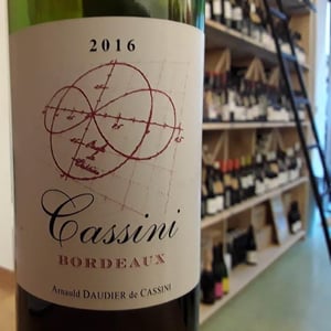 Bordeaux - Domaine Cassini - Arnauld & Isabelle Daudier De Cassini 
