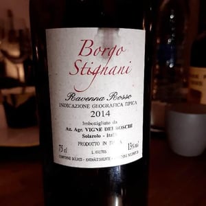 Borgo Stignani - Vigne dei Boschi - paolo-babini