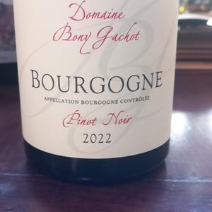 Bourgogne - Domaine Bony Gachot - Fabienne Bony et Eva Gachot 