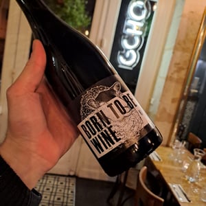 Born To Be Wine - Mas du Mouton Noir - cedric-mouton -2023
