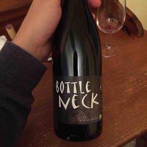 Bottle Neck 2016
