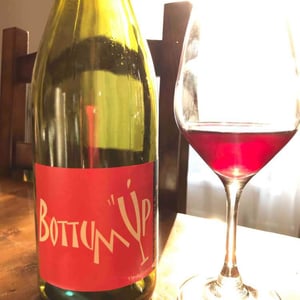 Bottom' Up Rouge - SAS Bascule! + Ex Domaine Leonine - caroline-stephane-morin -2020