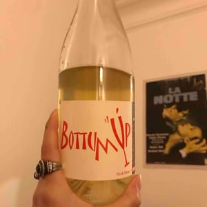 Bottom'Up Blanc - SAS Bascule! + Ex Domaine Leonine - caroline-stephane-morin -2020