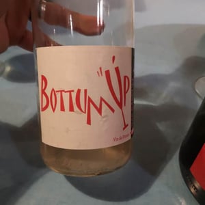 Bottom'Up Blanc - Domaine Léonine - Jordan Le Guyader -2020