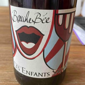 Bouche Bée - Les Enfants Sauvages - Nikolaus & Caroline Bantlin -2019