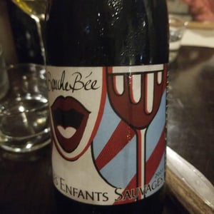 Bouche Bée - Les Enfants Sauvages - Nikolaus & Caroline Bantlin -2019