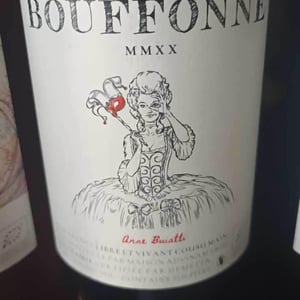 Bouffonne - Maison Advinam - anne-buiatti