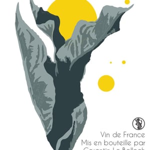Bouillon Blanc - Domaine Autre Chose - Tiphaine Pierlot & Corentin Le Bolloch -2021