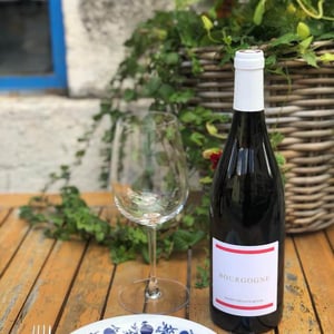 Bourgogne - Domaine Renaud Boyer - renaud-boyer -2020