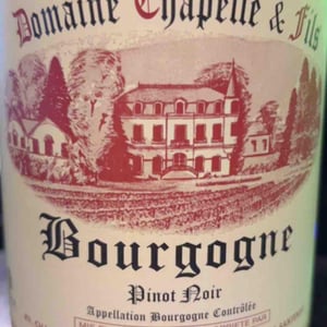 Bourgogne Chardonnay 2020 - Domaine Chapelle & Fils - jean-francois-et-yvette-chapelle -2020