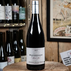 Bourgogne 2022 - Domaine Céline Perrin - Domain Perrin Céline - celine-perrin -2022