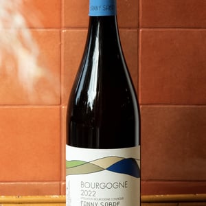 Bourgogne 2022 - Champagne Vincent Couche - fanny-sabre