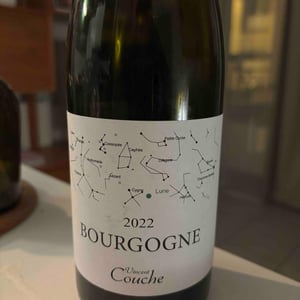 Bourgogne 2022 - Champagne Vincent Couche - Fanny Sabre 