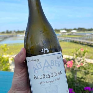 Bourgogne - Domaine Derain - Julien Altaber & Carole Shwab, Domique Derain 