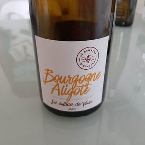 Bourgogne Aligoté 2018 - Domaine d'Edouard - Édouard Lepesme 
