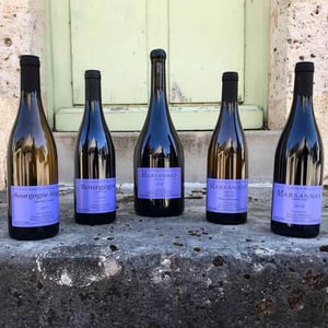 Bourgogne Aligoté - Sylvain Pataille - sylvain-pataille