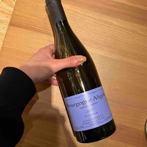 Bourgogne Aligoté - Sylvain Pataille - sylvain-pataille