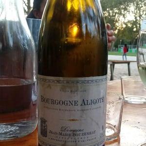 Bourgogne Aligoté - Jean-Marie Bouzereau - jean-marie-bouzereau