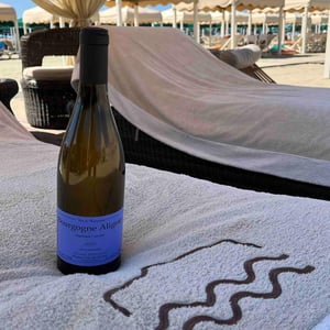 Bourgogne Aligoté - Sylvain Pataille - sylvain-pataille